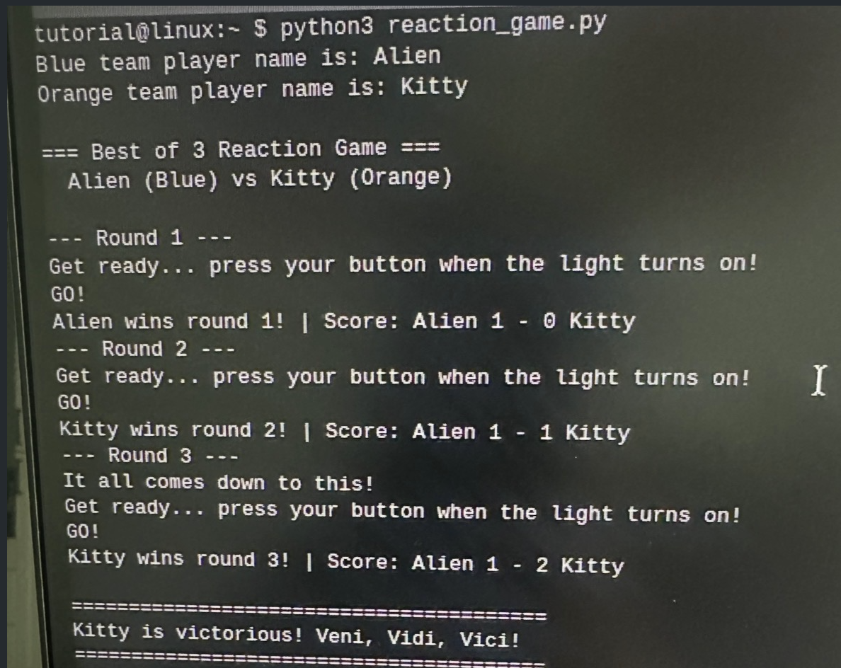 Reaction game terminal output