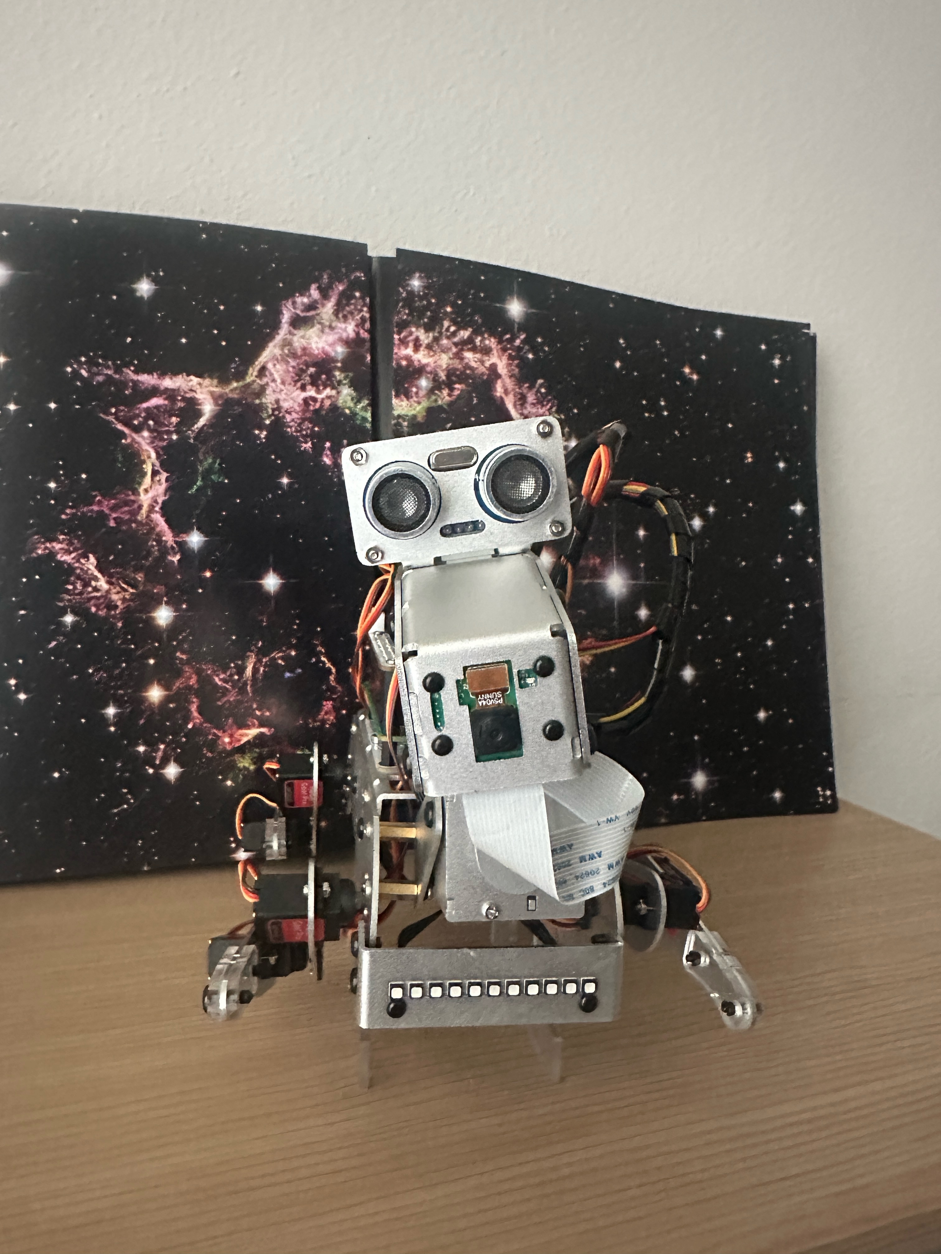 Slugger the PiDog robot dog